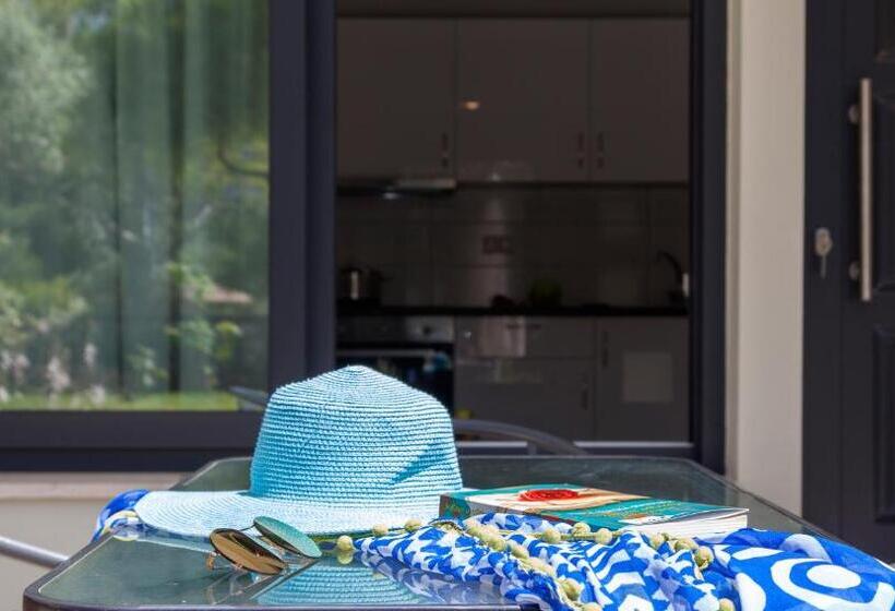 דירת חדר עם טרסה, Agni Suites