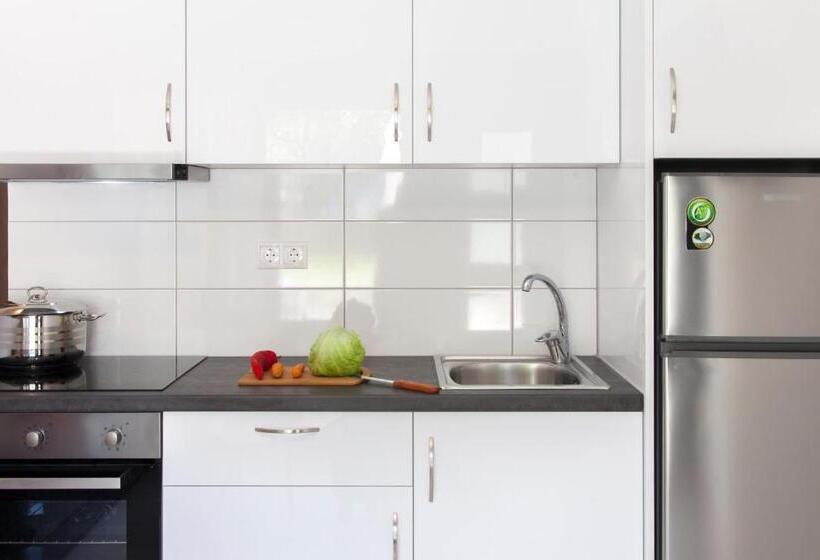 דירת חדר עם טרסה, Agni Suites