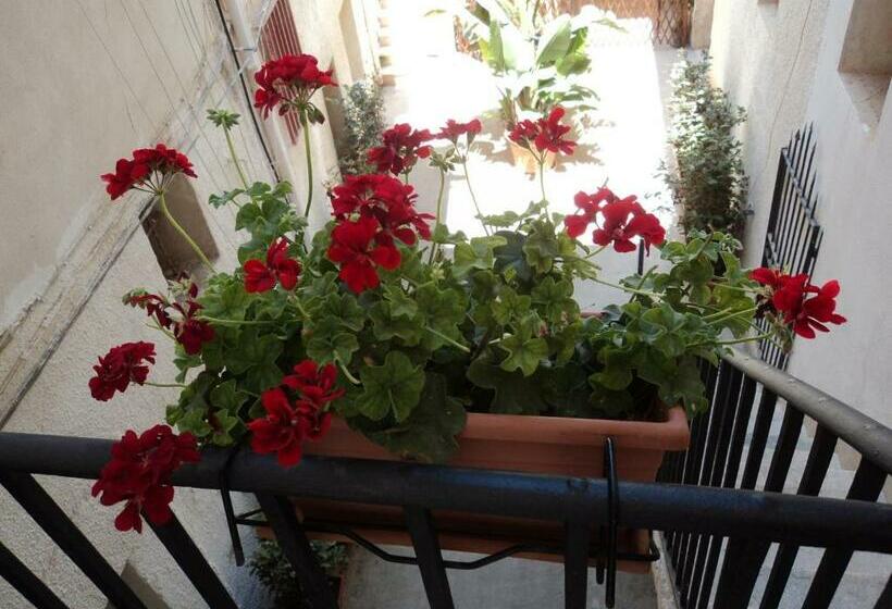 شقة غرفة واحدة, Anita & Garibaldi