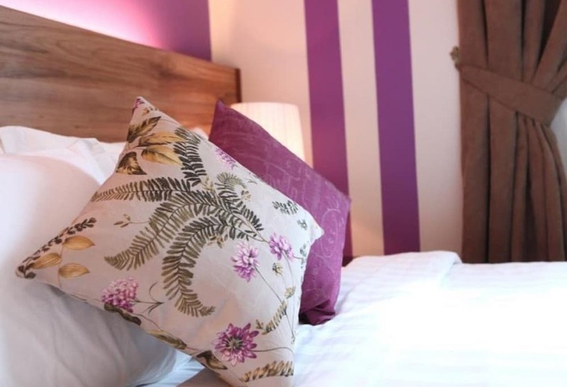 标准工作室, Eden54