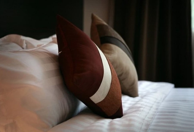 标准工作室, Eden54