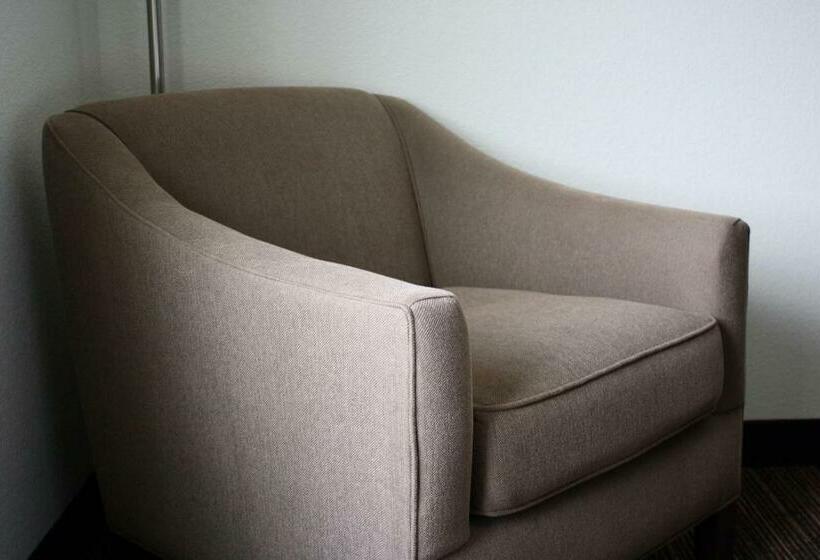 غرفة قياسية, Sleep Inn & Suites