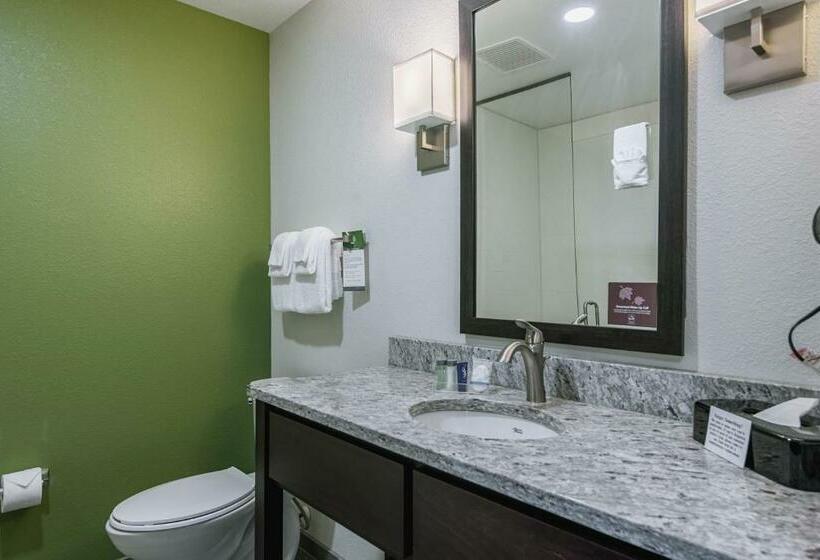 جناح سرير كينج, Sleep Inn & Suites