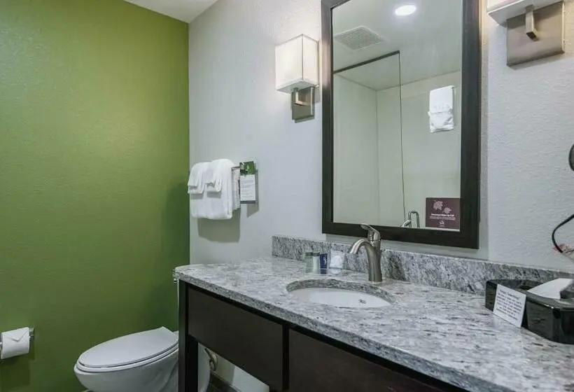 Sviitti King-vuode, Sleep Inn & Suites