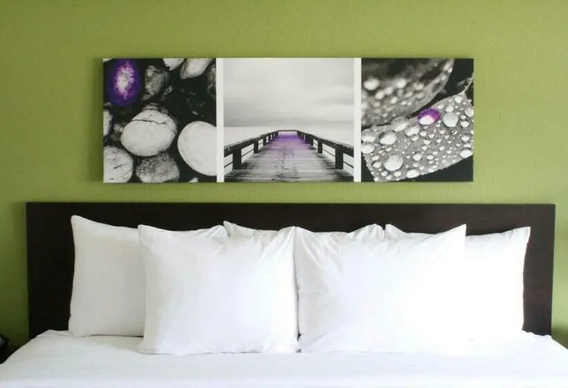 Sviitti King-vuode, Sleep Inn & Suites