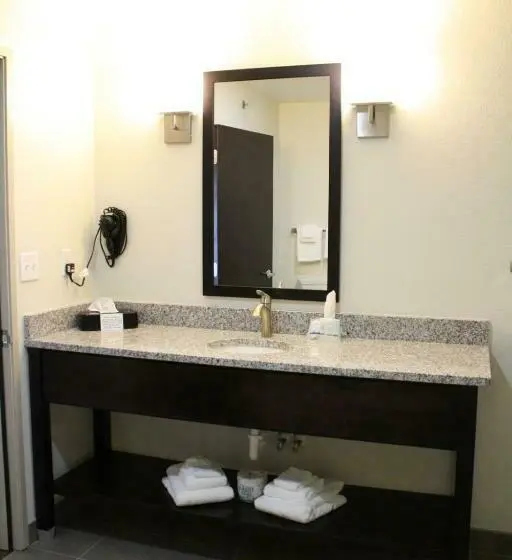 Standard-huone, Sleep Inn & Suites