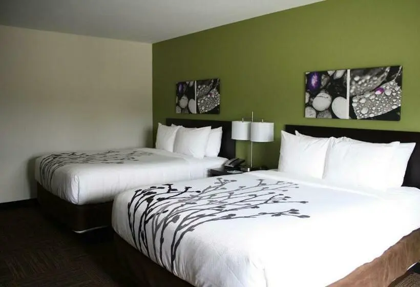 Standard-huone, Sleep Inn & Suites