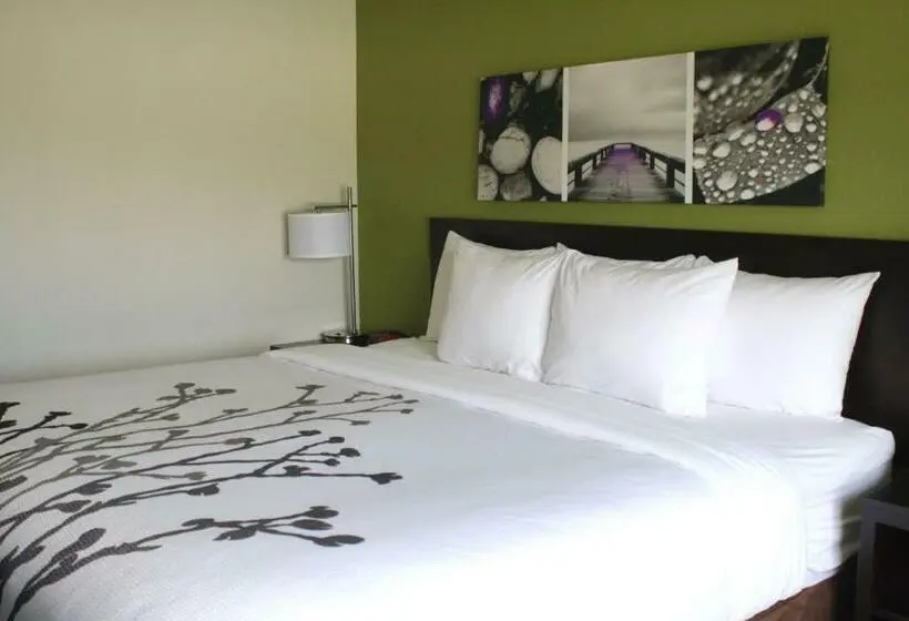 Standard-huone King-vuode, Sleep Inn & Suites