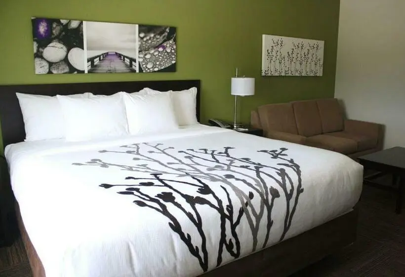 Sviitti King-vuode, Sleep Inn & Suites