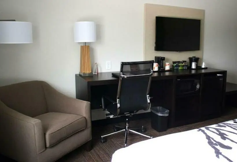 Standard-huone King-vuode, Sleep Inn & Suites