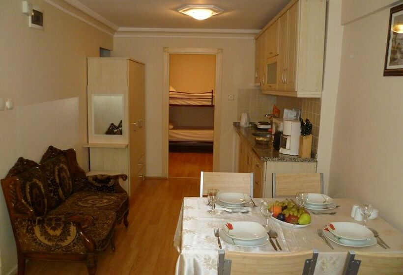 １ベッドルームエコノミーアパートメント, Pine Stone Apart Hotel Sultanahmet
