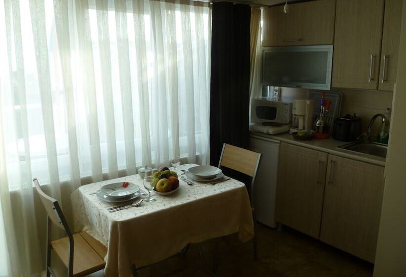 海の見える１ベッドルームアパートメント, Pine Stone Apart Hotel Sultanahmet