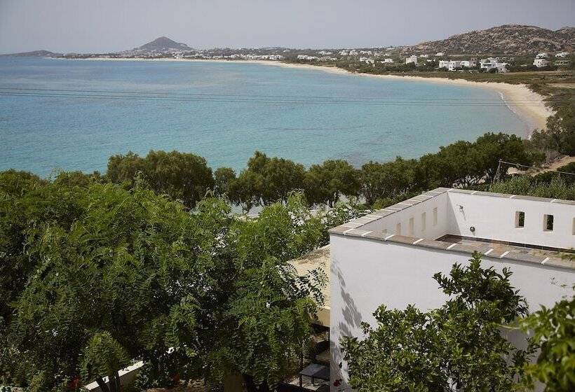 Вилла 4 Спальни, Villa Paradise