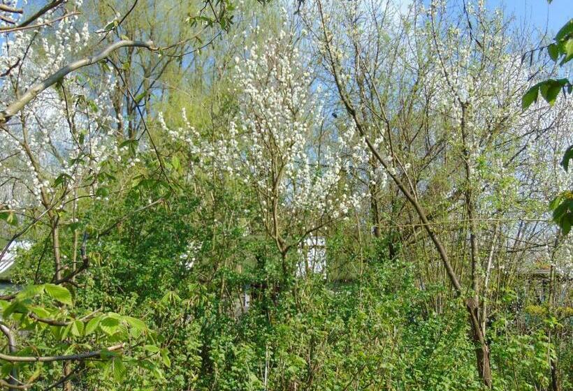 패밀리 스위트, Bnb Heimdall