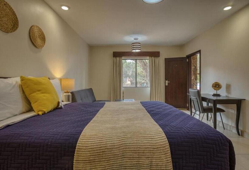 חדר סטודיו סטנדרד, Maglen Resort