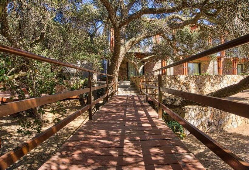 חדר סטודיו סטנדרד, Maglen Resort