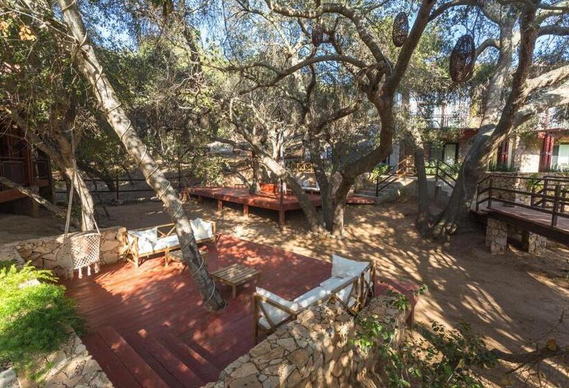 סוויטת ג'וניור, Maglen Resort