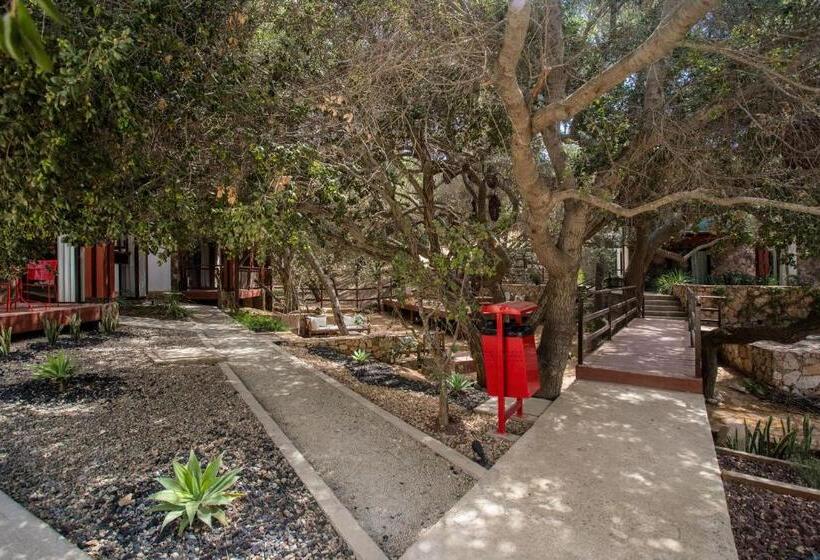 סוויטת ג'וניור, Maglen Resort