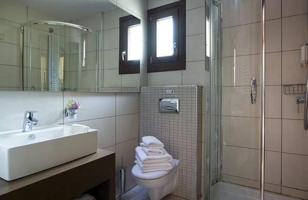 اتاق استاندارد با چشمانداز, Pilion Terra