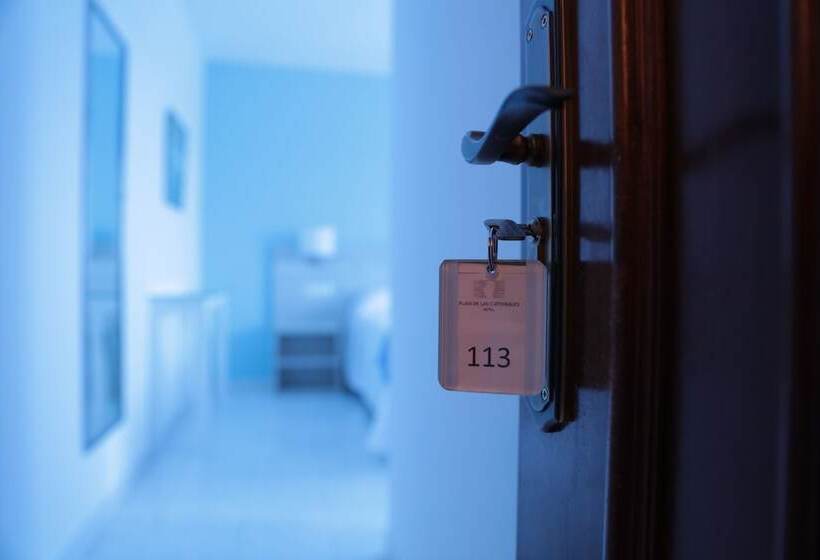 带海景的标准房, Playa De Las Catedrales