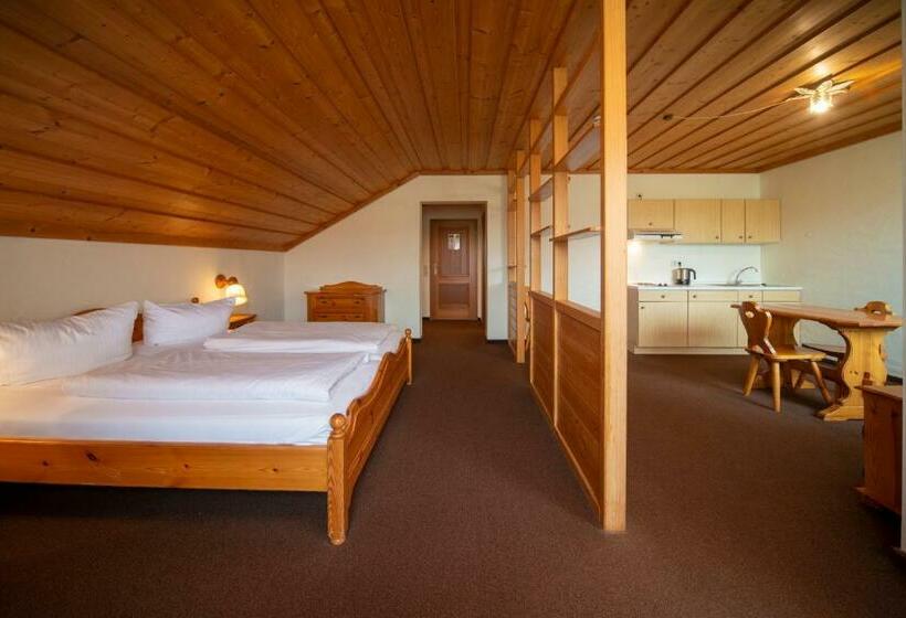 آپارتمان 1 خوابه, Seehotel Weissensee