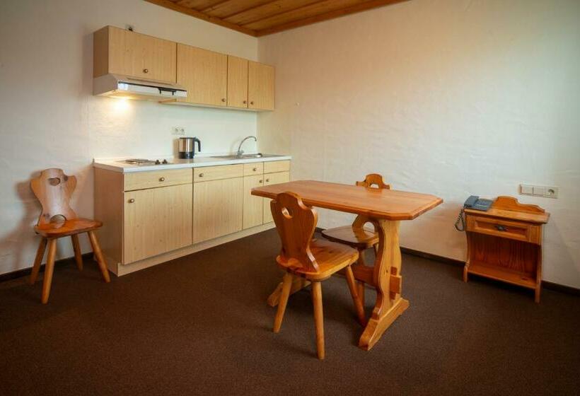 آپارتمان 1 خوابه, Seehotel Weissensee