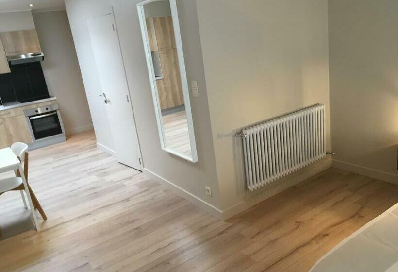 סטודיו סטנדרט עם מרפסת, Studio 't Ponton