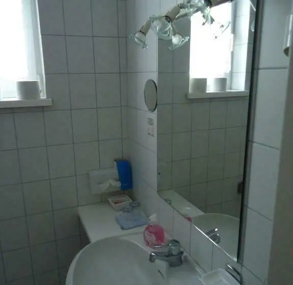 Standard Yhden Hengen Huone, Panoramahof Ziegler