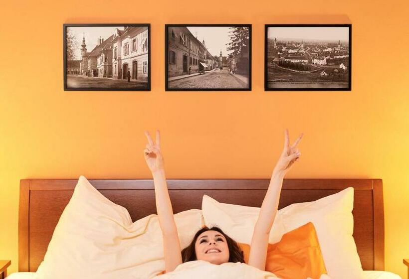 חדר סטנדרט, Sporer Stadthotel Bad Radkersburg