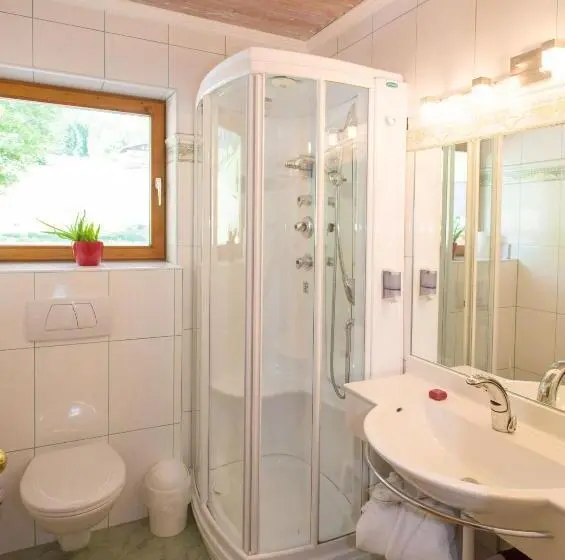 استودیو استاندارد با بالکن, Aparthotel Pfeffermühle