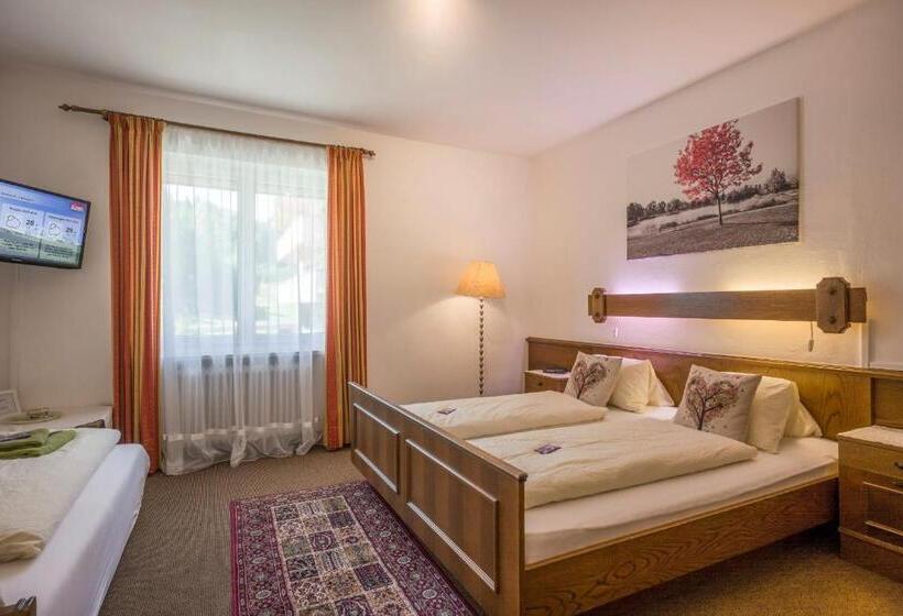 スタンダード４人部屋, Gästehaus Greger