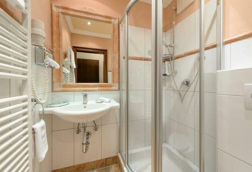 غرفة قياسية فردية, Alpen Villa Rieder