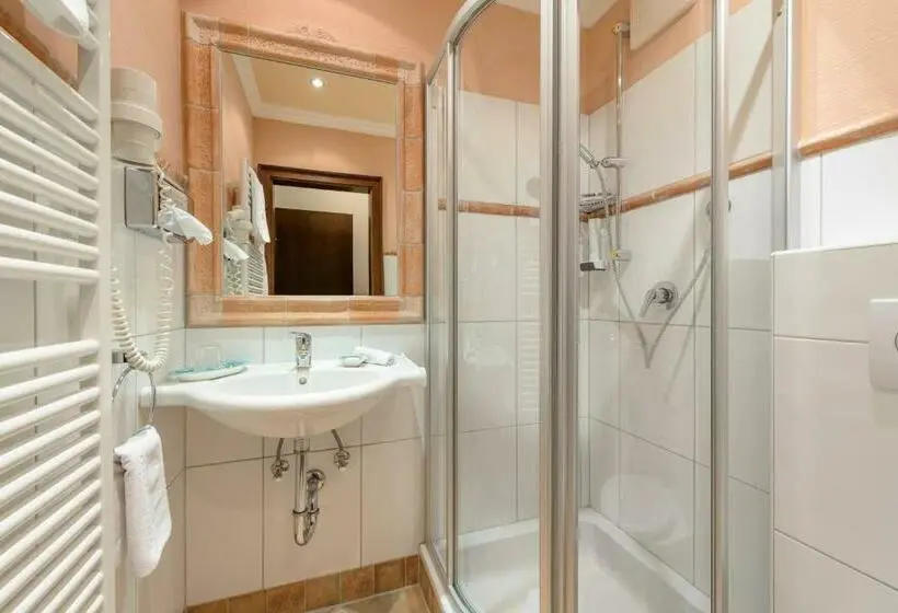 Standard Yhden Hengen Huone, Alpen Villa Rieder
