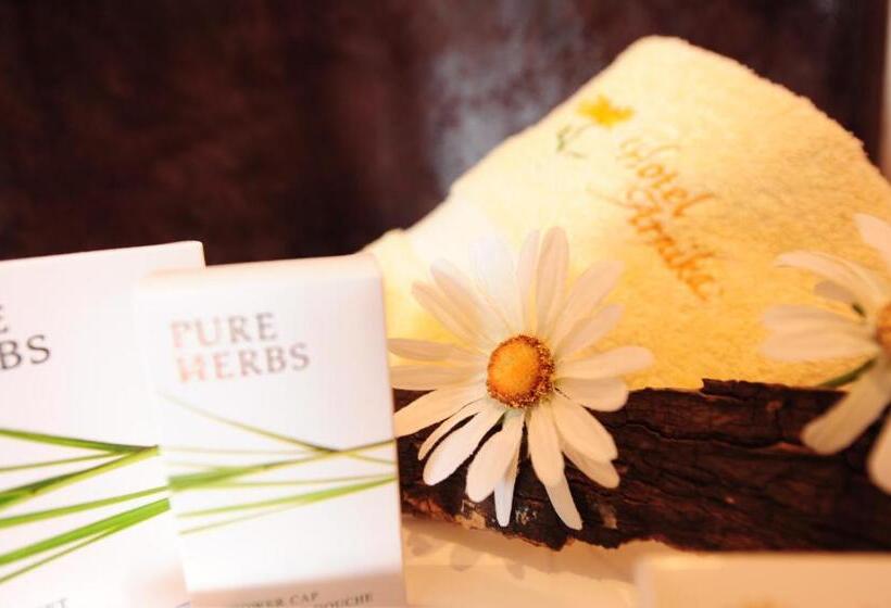 디럭스 패밀리 룸, Arnika