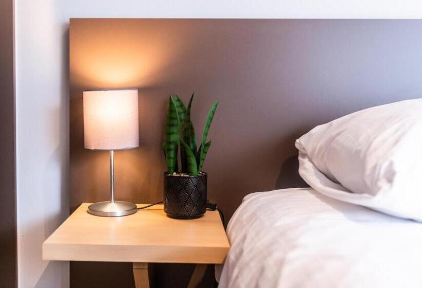 스위트, Belcasa Suite