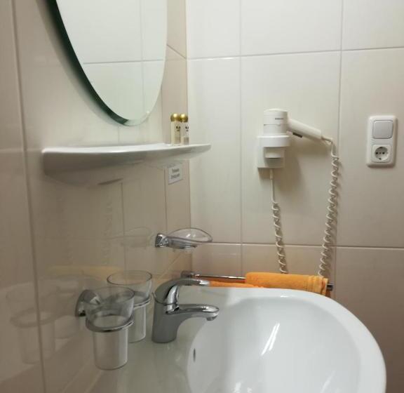 חדר סטנדרט יחיד עם מרפסת, Garni Austria