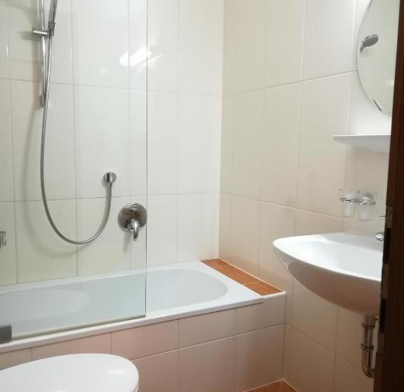 חדר סטנדרט יחיד עם מרפסת, Garni Austria