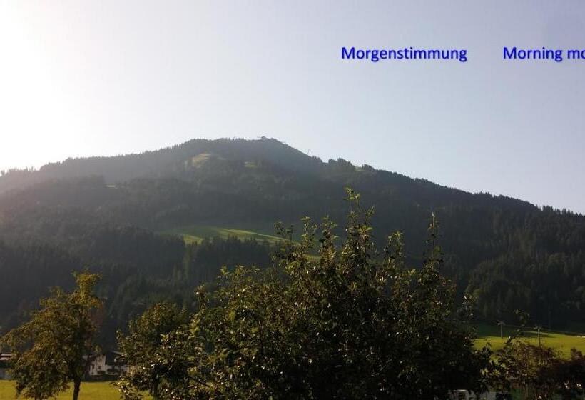 발코니 스탠다드 싱글 룸, Garni Austria