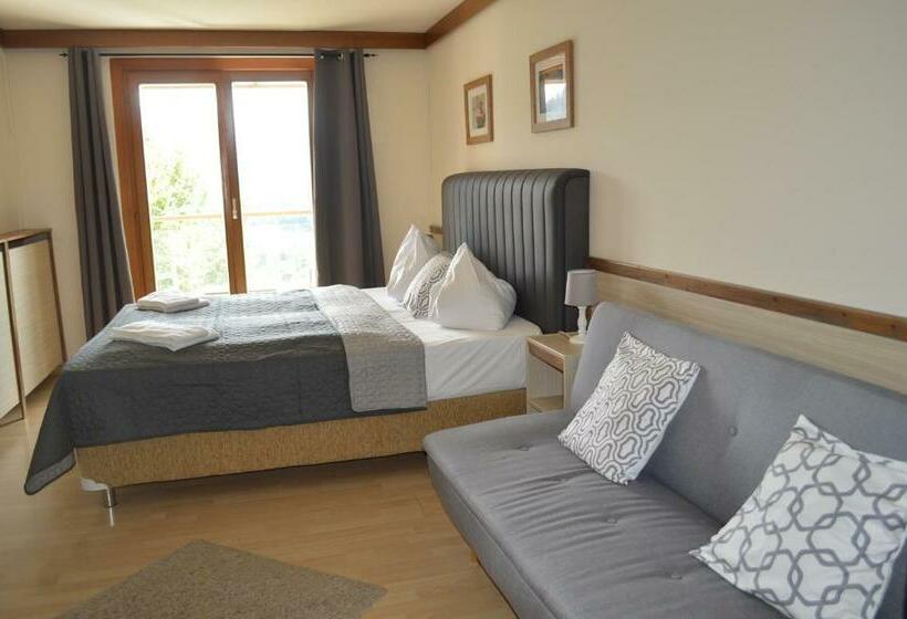 اتاق استاندارد سه تخته با بالکن, Jäger