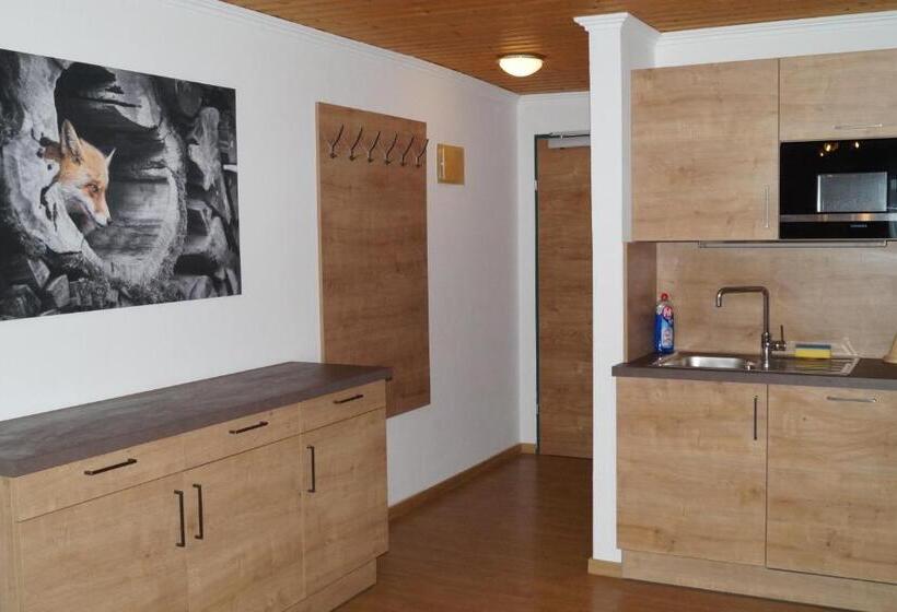 شقة غرفة واحدة, Sieglhub Chalets Appartements