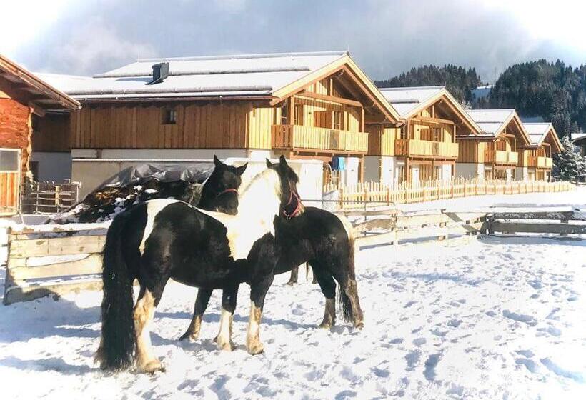 شاليه غرفة نوم واحدة, Sieglhub Chalets Appartements