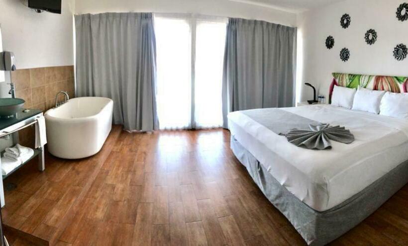 디럭스 스위트, Container Inn Hotel Aeropuerto