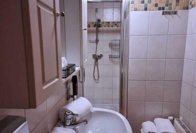 스탠다드 룸, Karnischer Hof