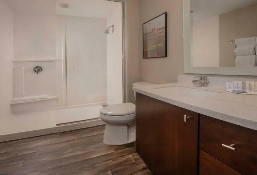 Standard-studio King-vuode, Towneplace Suites By Marriott Altoona