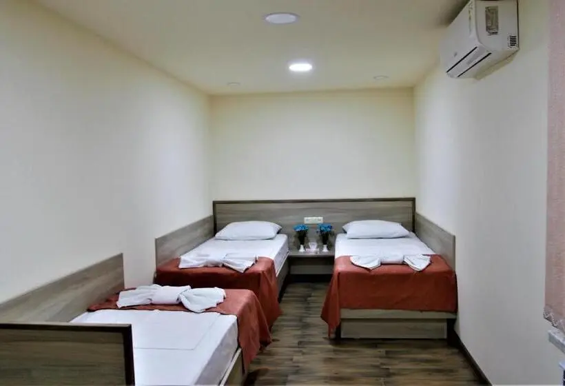 اتاق راحتی سه تخته, Albert House Hotel And Tours