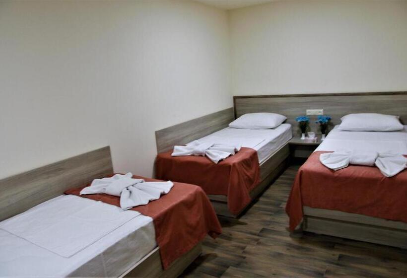 اتاق راحتی سه تخته, Albert House Hotel And Tours