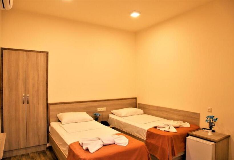 اتاق استاندارد, Albert House Hotel And Tours