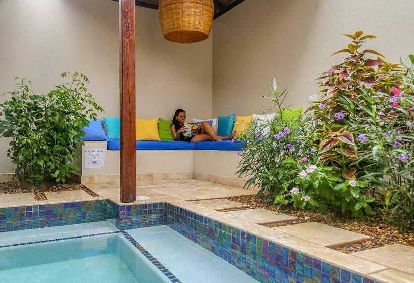 Люкс с Бассейном, Almond Beach Resort At Jaguar Reef