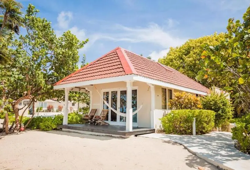 キングサイズベッドのスタンダードルーム, Almond Beach Resort At Jaguar Reef