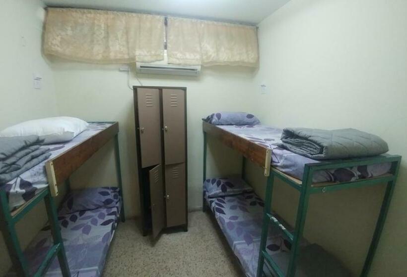 Seng i Delt Værelse, Arava Hostel